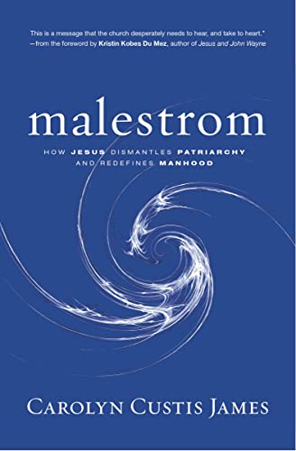 [9780310138891] Malestrom: How Jesus Dismantles Patriarchy and Redefines Manhood
