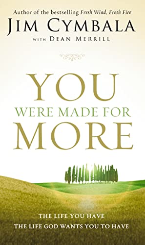 [9780310340881] You Were Made for More: The Life You Have, the Life God Wants You to Have