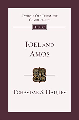 [9781783599707] Joel and Amos: An Introduction and Commentary